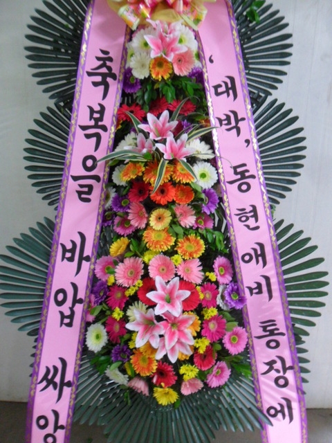 ����ȭȯ69.000