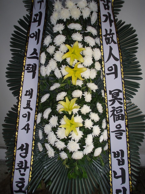 ����ȭȯ69.000