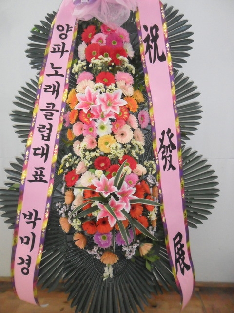 ����ȭȯ69.000