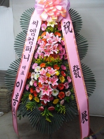 ����ȭȯ69.000