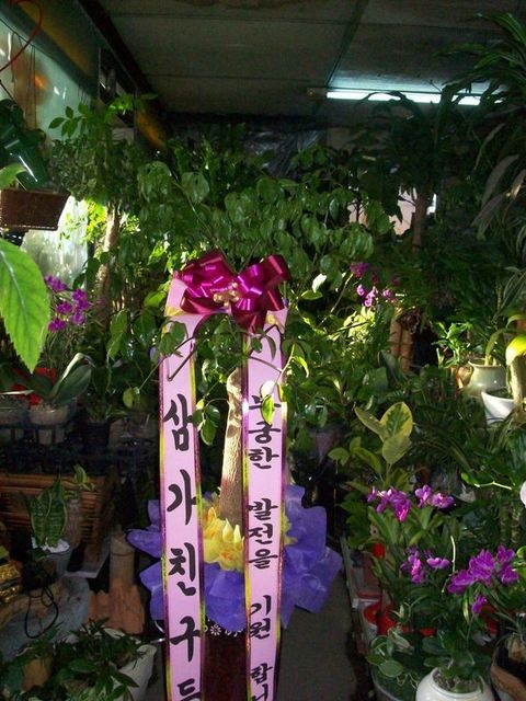 ����Ʈ��90000