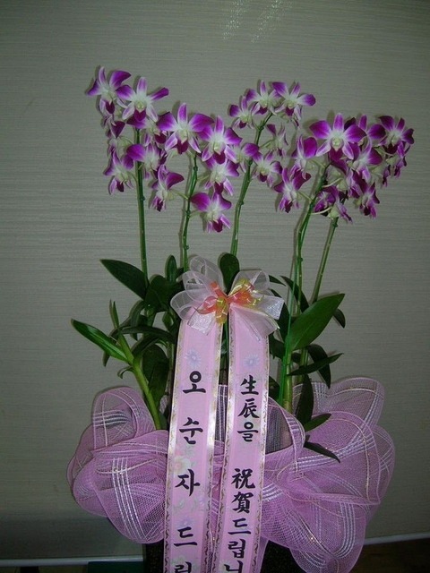 60,000 ȣ����