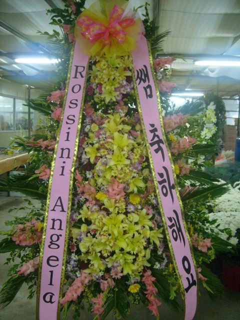 99,000 ����3��ȭȯ