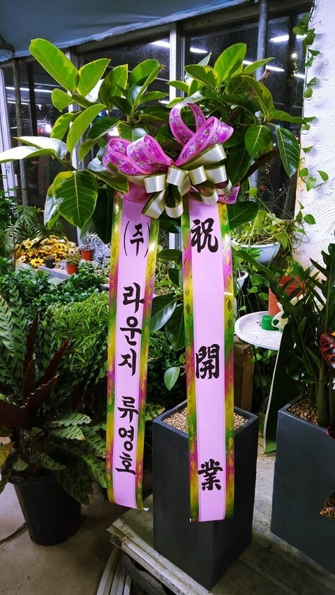 100,000 �𰥰�������