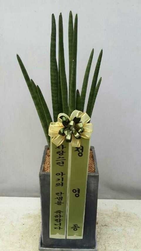 50,000 ����Ű