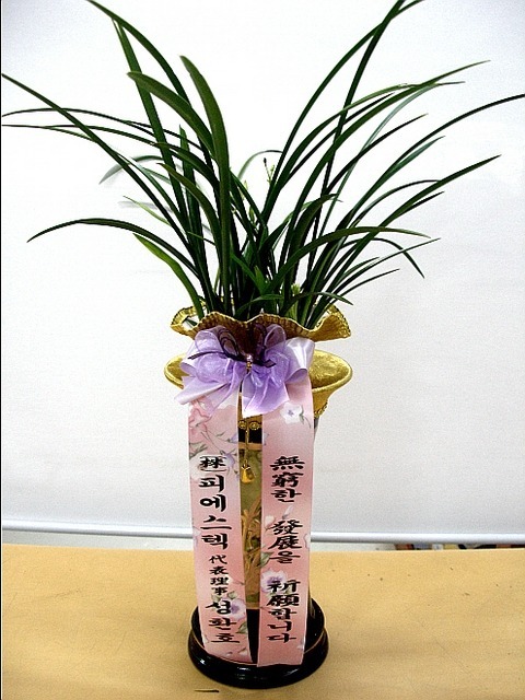 47,000 ���̰Ƕ�