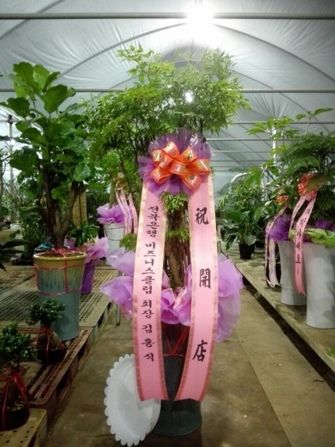 120,000 �����Ž�