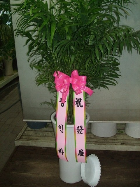 47,000 ���̺�����