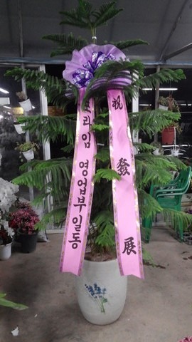 150,000 �Ʒο�ī����