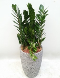 47,000 ������