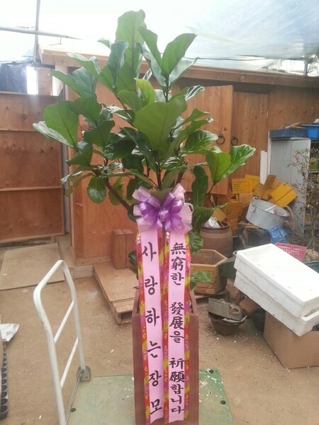 ����� ������������