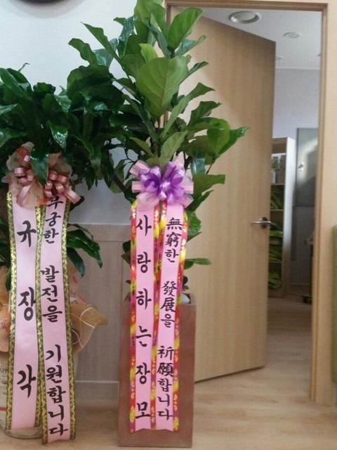 ����� ������������